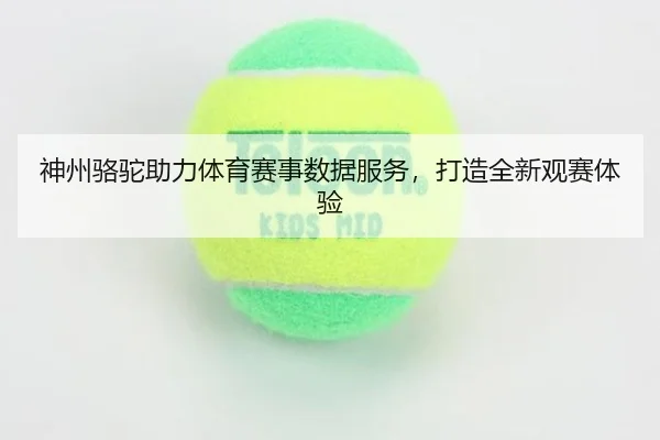 神州骆驼助力体育赛事数据服务，打造全新观赛体验